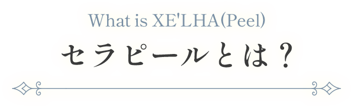 セラピールとは?